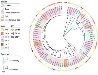 Genomic characterization of Salmonella enterica serovar Kentucky and London recovered from food and human salmonellosis in Zhejiang Province, China (2016–2021)